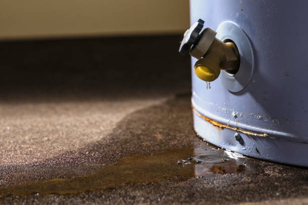 Best Residential water damage restoration  in Monongah, WV