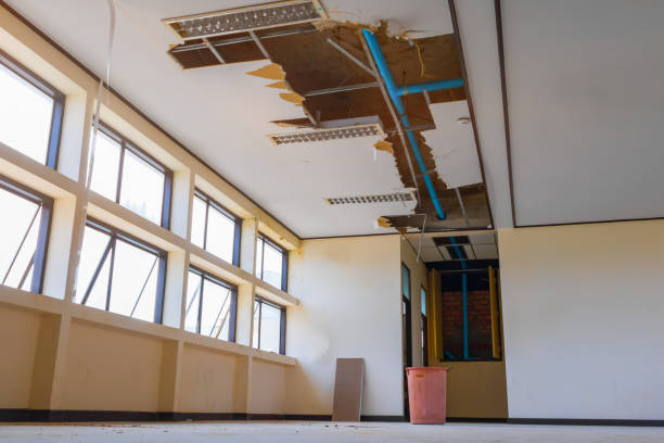 Best Water damage restoration near me  in Monongah, WV
