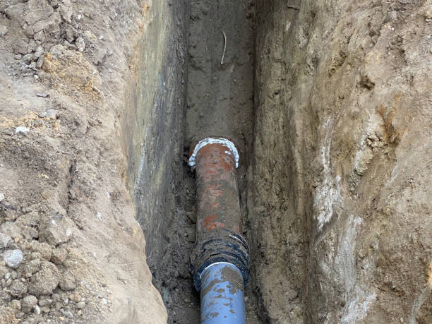 Best Basement water damage restoration  in Monongah, WV