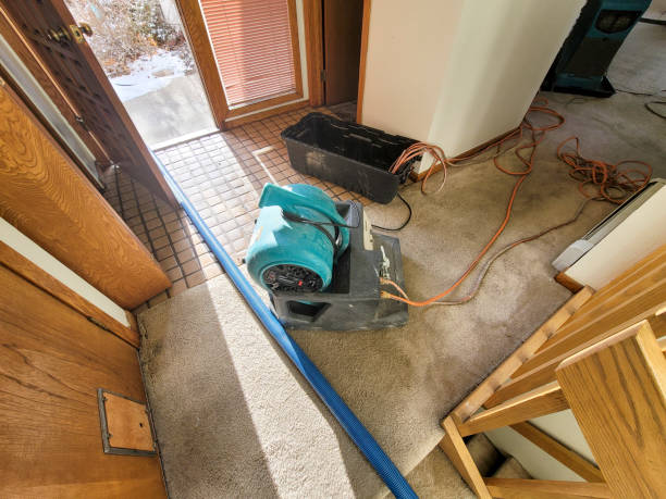 Best Sewage cleanup and water damage restoration  in Monongah, WV