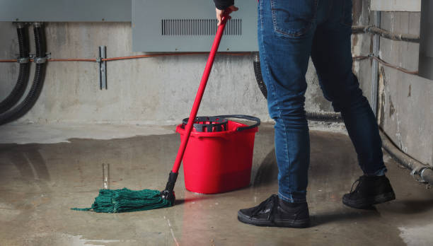 Best Local water damage restoration  in Monongah, WV