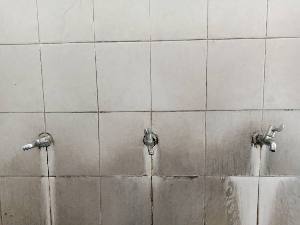 Best Water damage restoration near me  in Monongah, WV