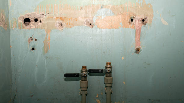 Best Flood damage cleanup  in Monongah, WV
