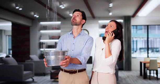 Best Flood restoration services  in Monongah, WV