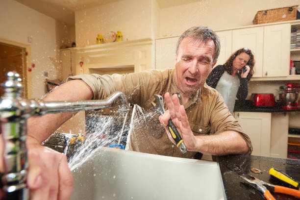 Best Water damage restoration near me  in Monongah, WV